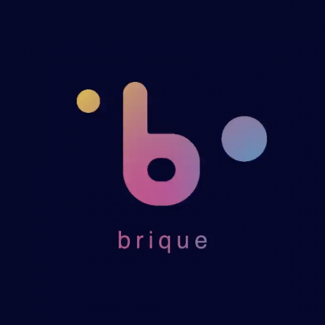 Brique. The Money in the future